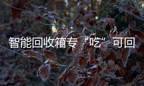 箱专吃智能回收回收可垃圾